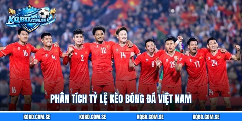Phân tích tỷ lệ kèo bóng đá Việt Nam